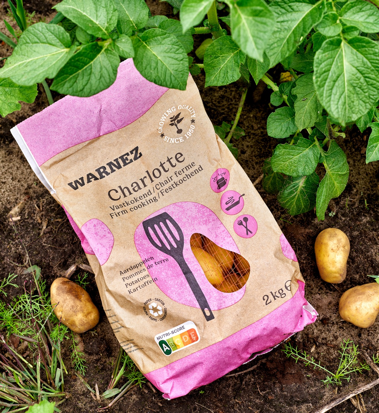 Quatre Mains package design - Packaging design for Warnez Potatoes