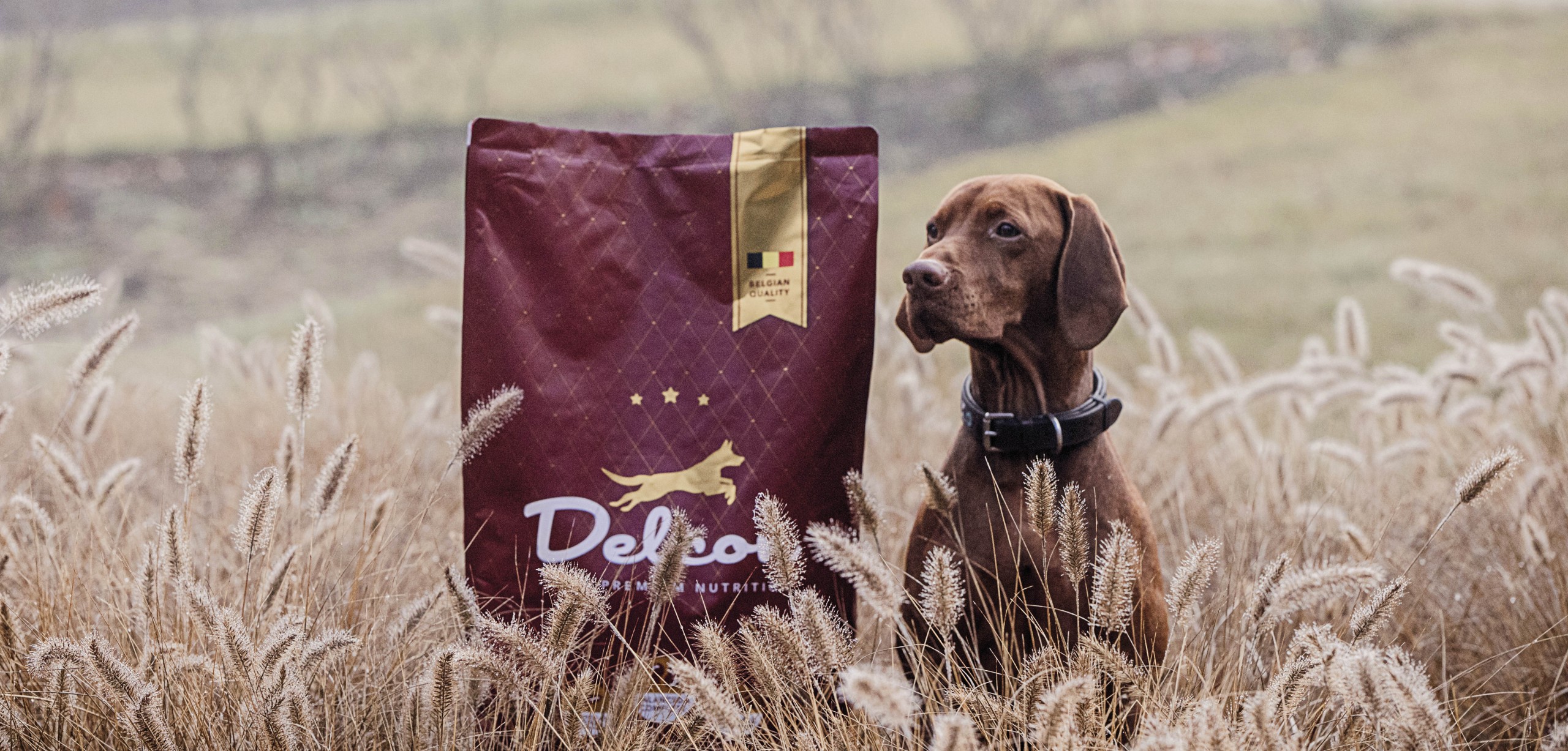 Quatre Mains package design - Package design delcon, dog feed